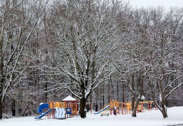 Playground setting is next to large trees and lots of green grass